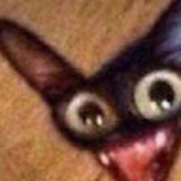 Meet your Posher, Marin - Picture 1 of 1